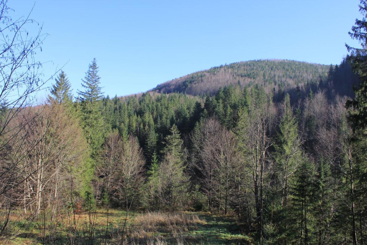 Mountain House Tatil Evi Yaremche